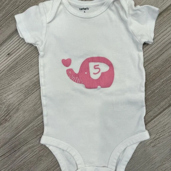 Baby elephant milestone onesies hand painted months 1-9